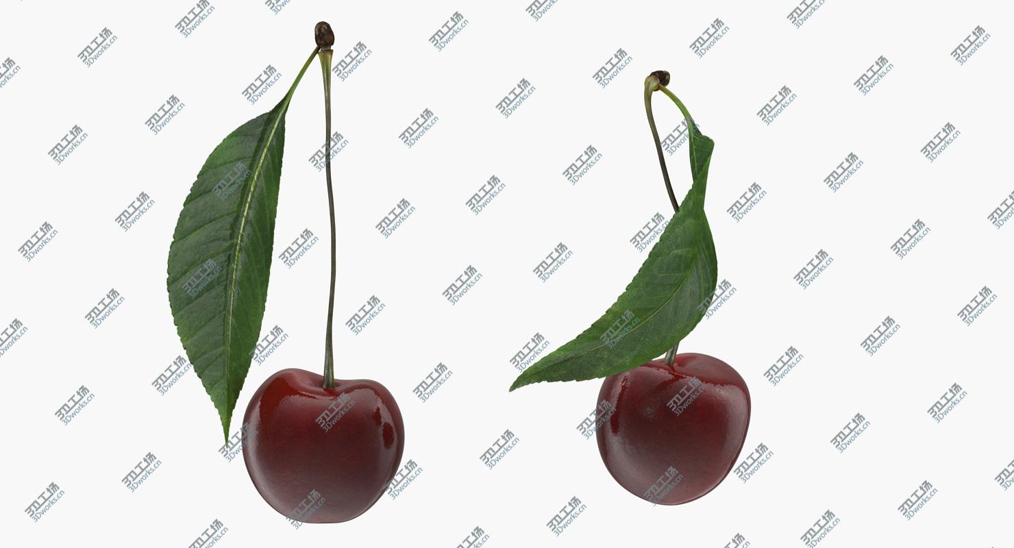 images/goods_img/20210319/3D Cherry Collection model/3.jpg